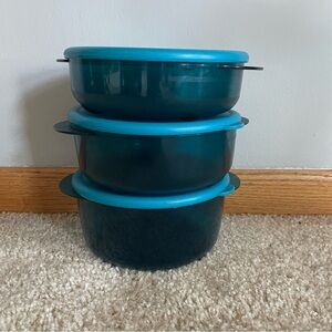 Tupperware Vent ‘N Serve Blue Containers